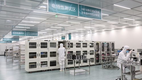 張家口的風，點亮北京的燈——海歸青年在綠色能源浪潮中顯身手